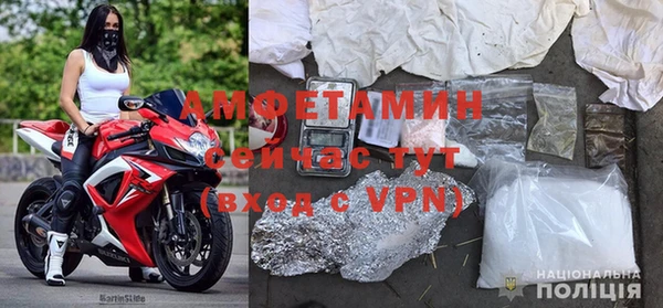 ПСИЛОЦИБИНОВЫЕ ГРИБЫ Алзамай