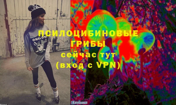 ПСИЛОЦИБИНОВЫЕ ГРИБЫ Алзамай