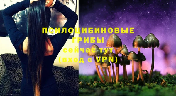 прущие крисы Алексин