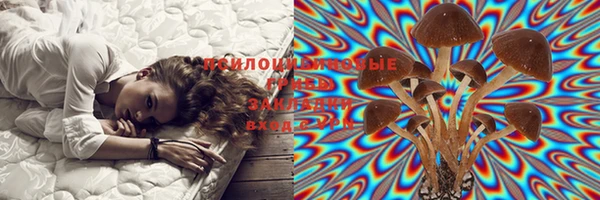 прущие грибы Алексеевка