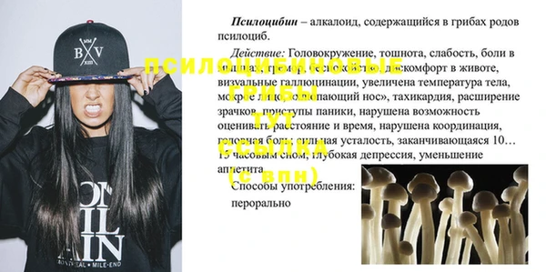 прущие грибы Алексеевка