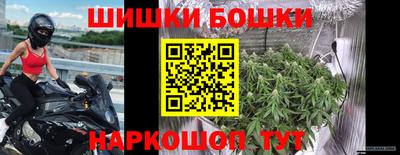 гидропоника Лесосибирск