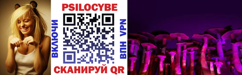 где можно купить наркотик Кириши Псилоцибиновые грибы мицелий