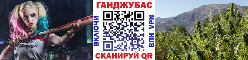 как найти закладки  Кириши  Шишки марихуана индика 